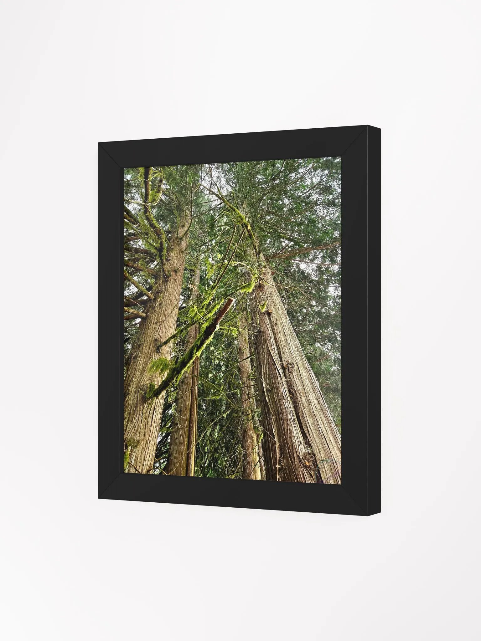 Feeling Small product image (7)