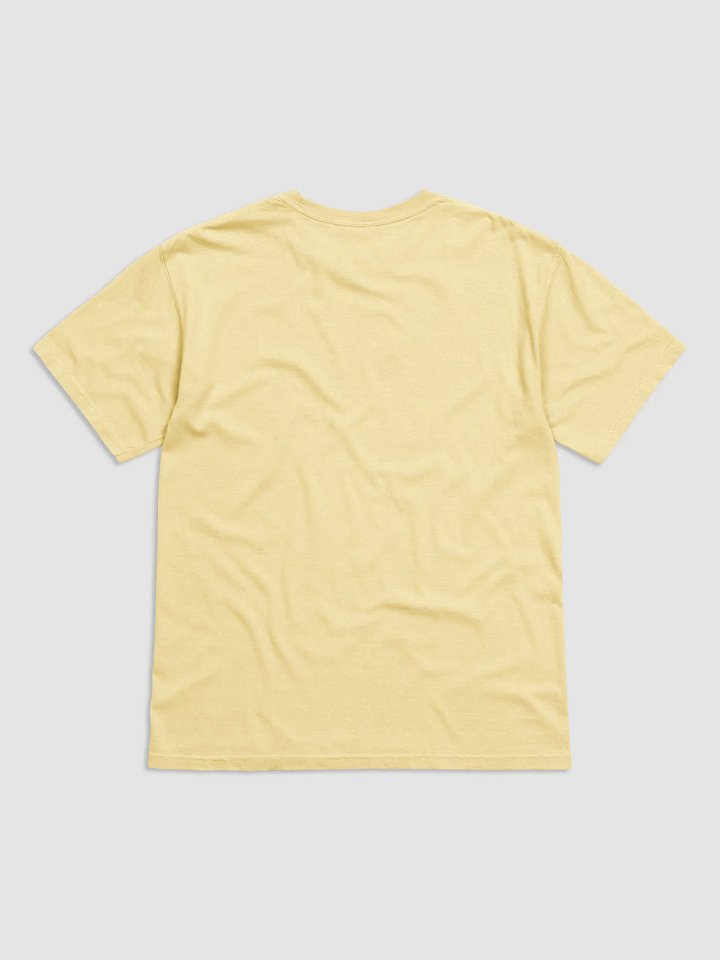 PAFFORD HOMESTEAD Texas Logo Tee product image (2)