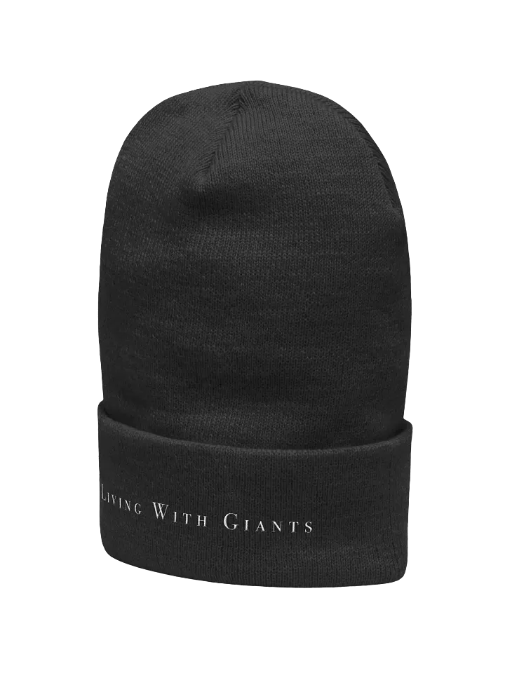 Cuffed Beanie product image (2)