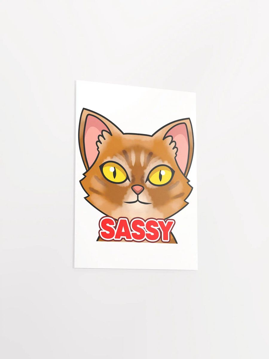 SASSY Poster product image (3)