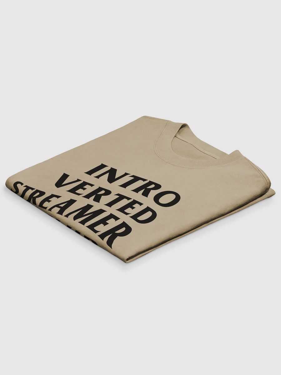 Introverted Streamer Club Oversized Tee product image (12)