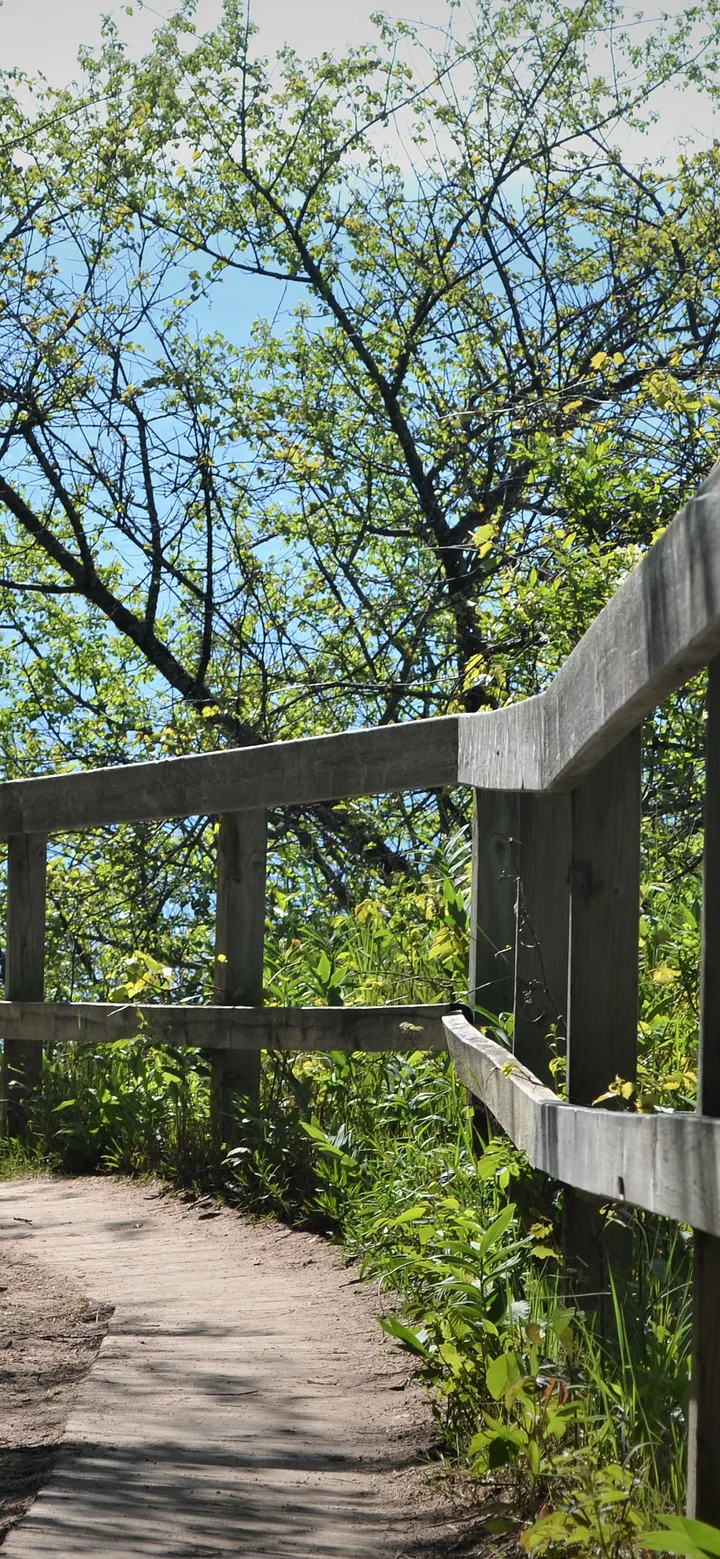 Wooden Bridge Phone Background product image (1)