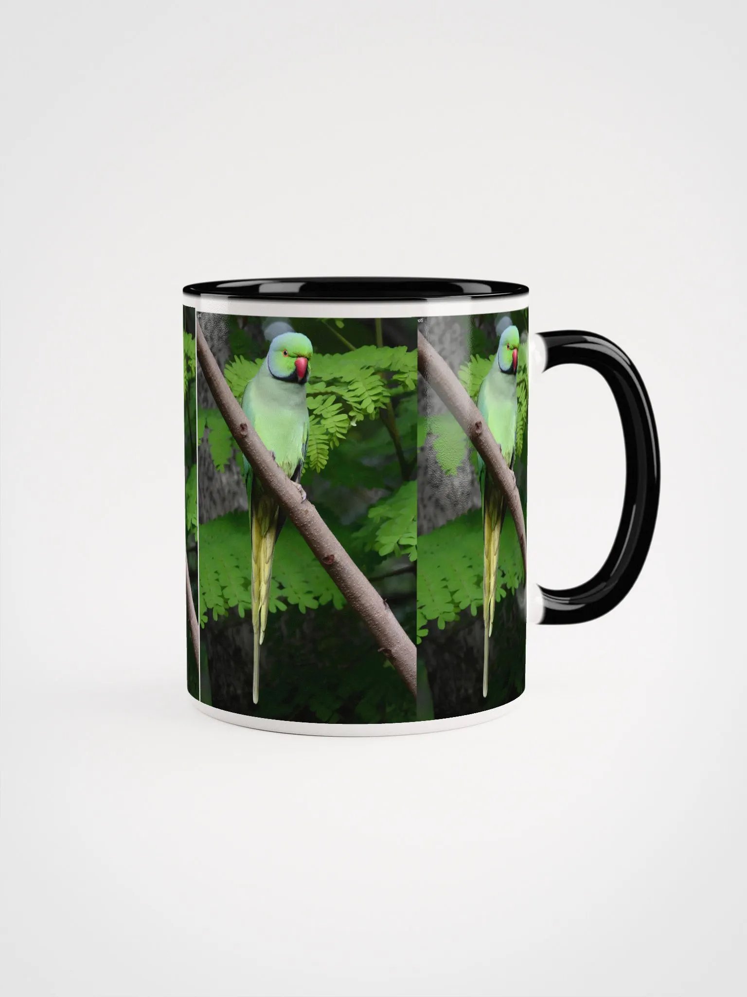 IUCAA Birds MUG product image (1)