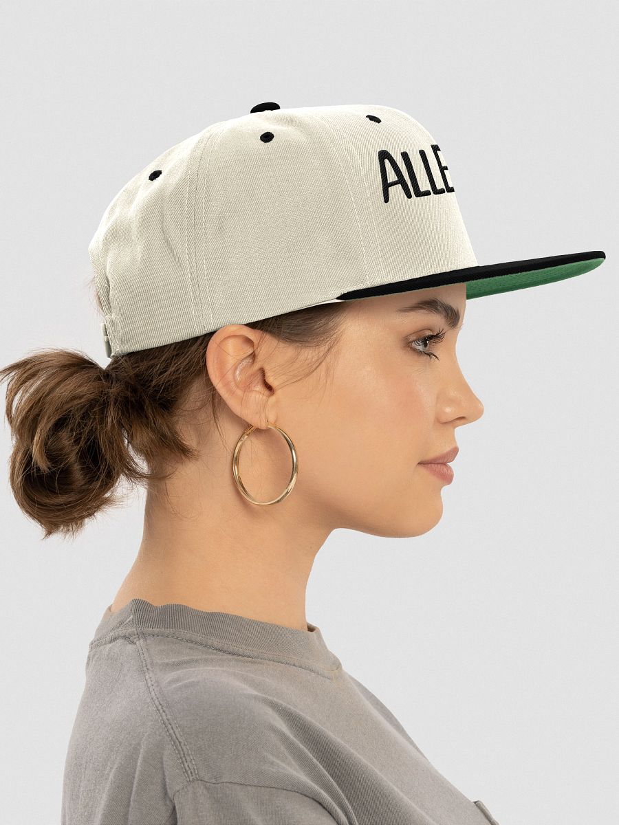 ALLEGEDLY POLTICAL EMBROIDERY Cap product image (20)