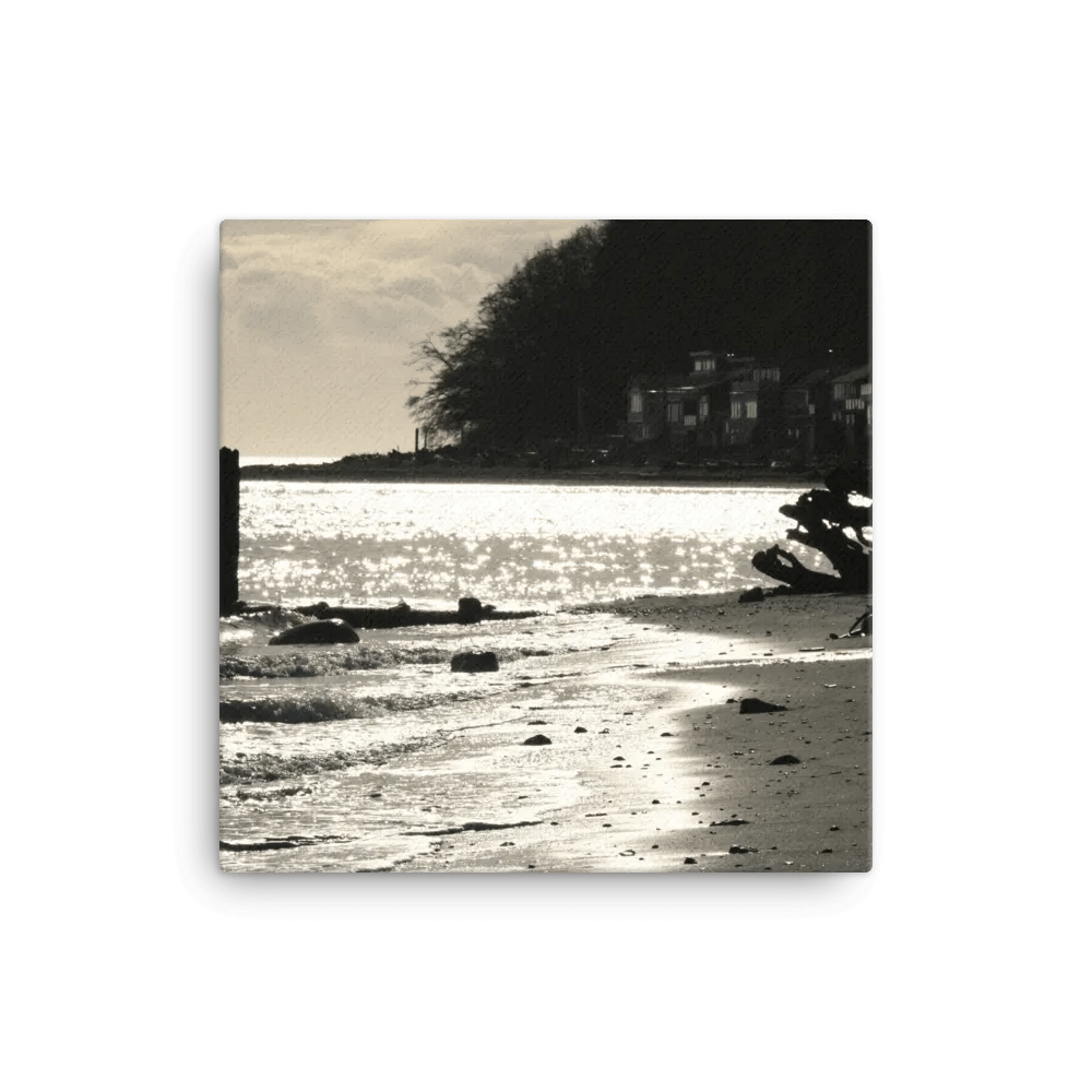 Point Roberts, Washington B&W product image (1)