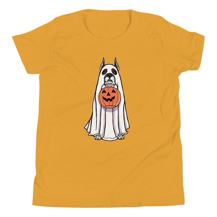 Halloween Boxer(Brindle, Cropped Ears) Youth T-Shirt product image (20)