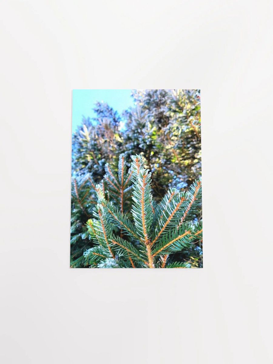 Frosted Trees product image (45)