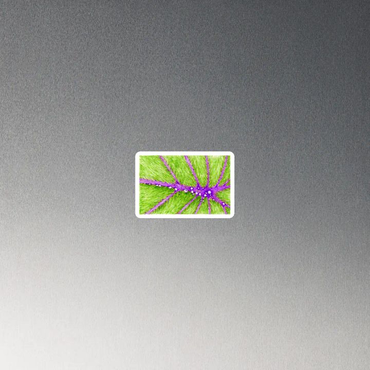 Magnet - 2022 Sketch 40 product image (4)