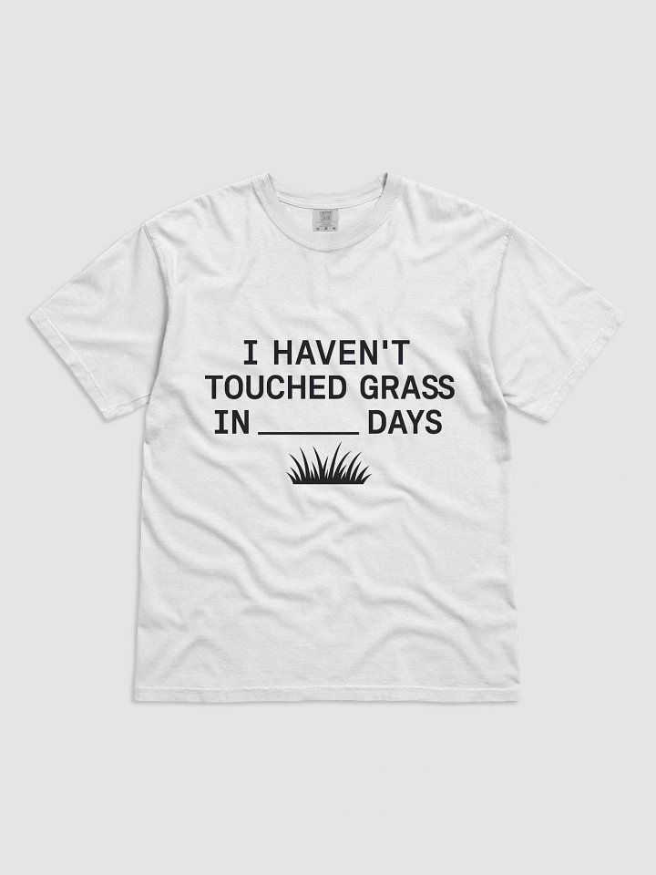 I Haven’t Touched Grass Tee product image (1)