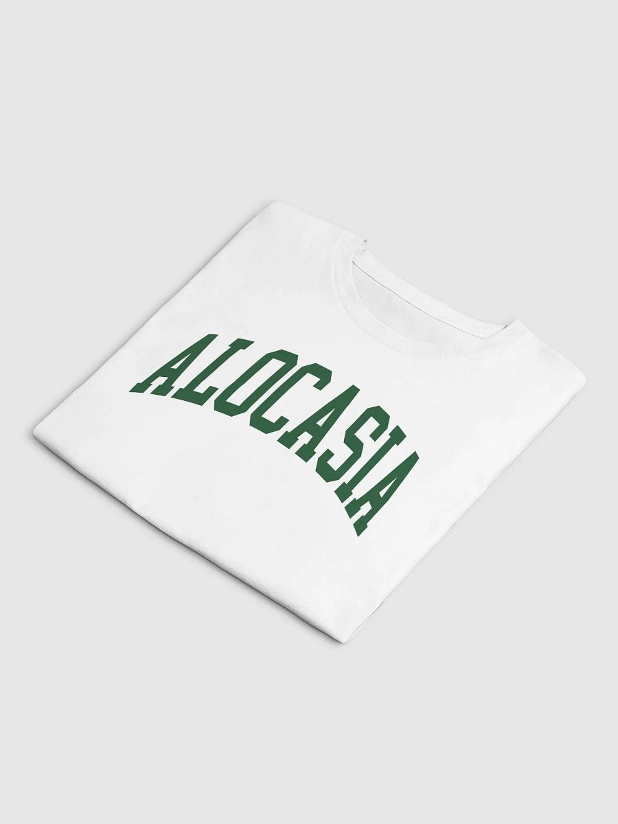 ALOCASIA varsity crop top product image (7)