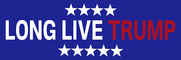 Red White and Blue Bumper Sticker product image (1)