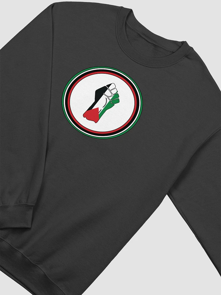 Palestine - Free Palestine - Gildan Classic Crewneck Sweatshirt product image (1)