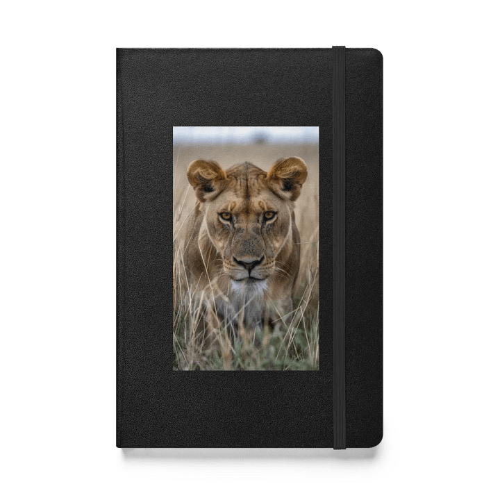 Intense Gaze Lioness Hardcover Journal product image (1)