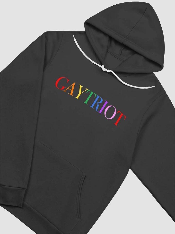 Gaytriot Unisex Hoodie product image (2)