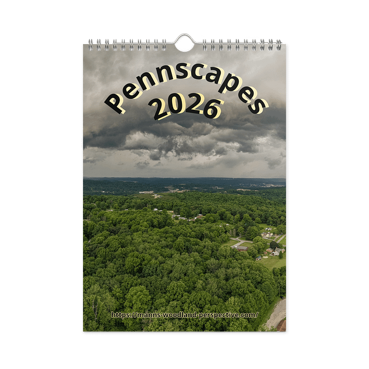 Pennscapes 2026 Wall Calendar product image (1)