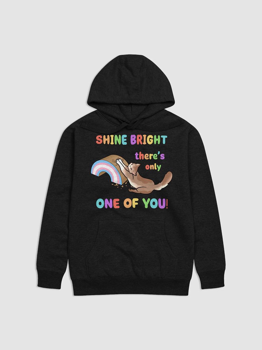 Shine Bright Trans Pride Hoodie product image (14)