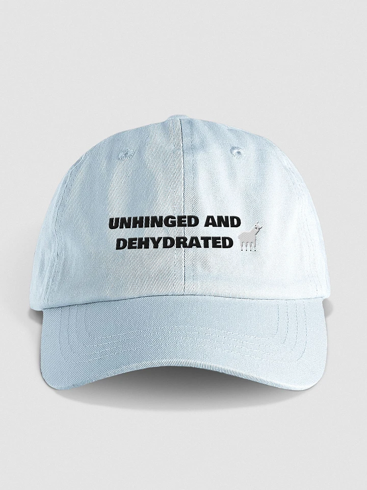 Unhinged & Dehydrated Embroidered Hat product image (1)