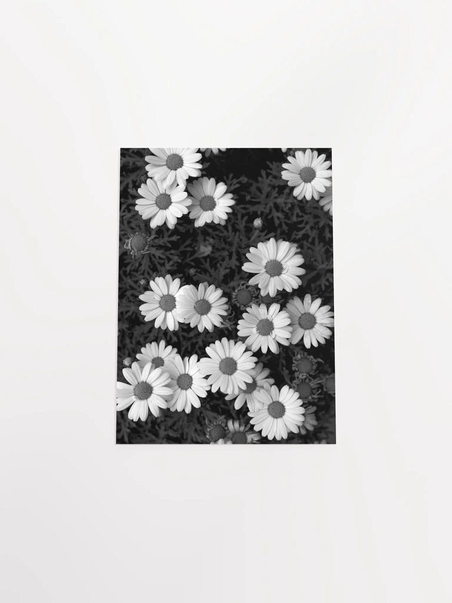 Margaritas - Enhanced Matte Paper Poster product image (4)