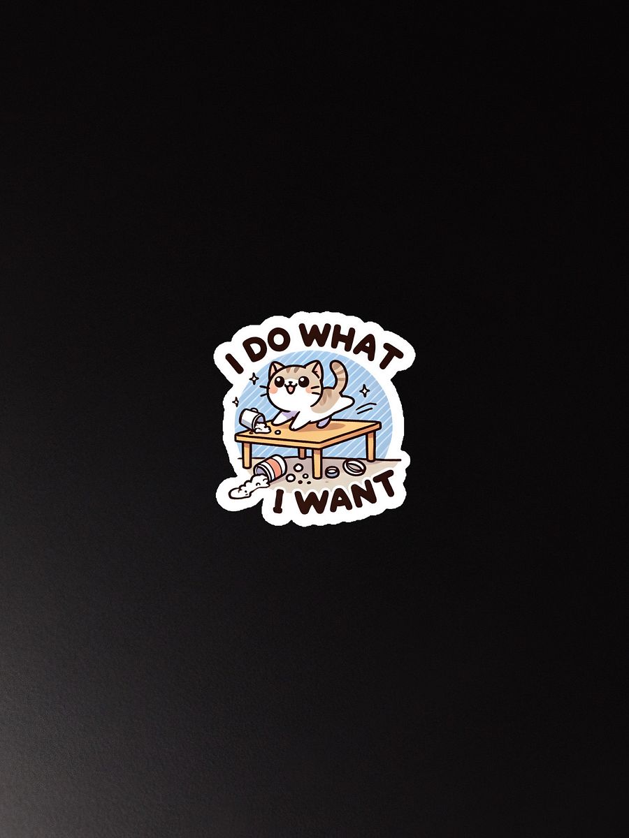 I do what I want magnet product image (3)