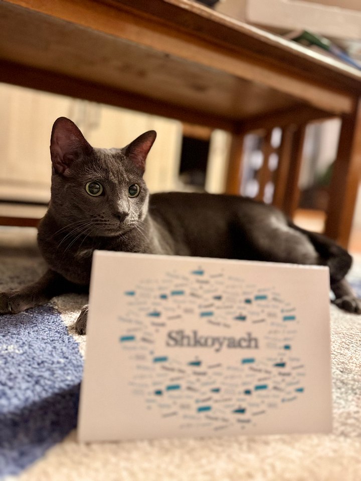 Shkoyach Thank You Card product image (1)