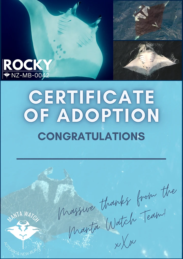 Rocky - Adopt A Manta Pack product image (1)