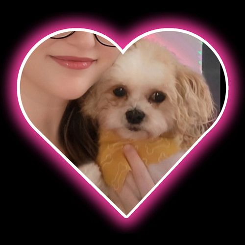 Hi everyone! I'm not sure what time stream will start today or if I might have to cancel. I am working really hard studying f...