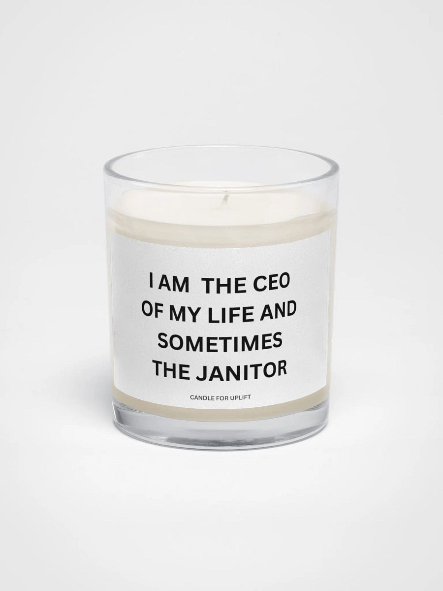 I Am The CEO Of My Life And Sometimes The Janitor product image (1)