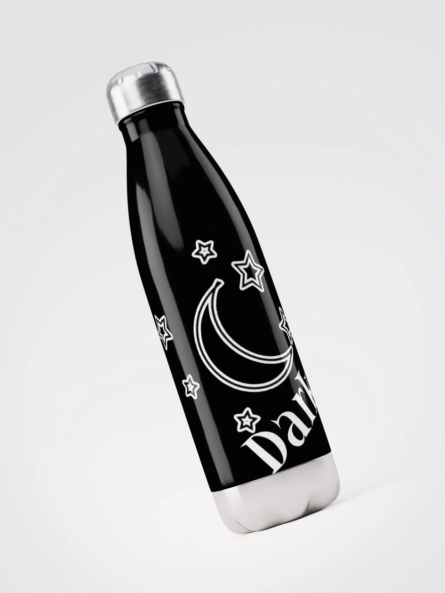 DarkSky Logo Stainless Water Bottle product image (3)