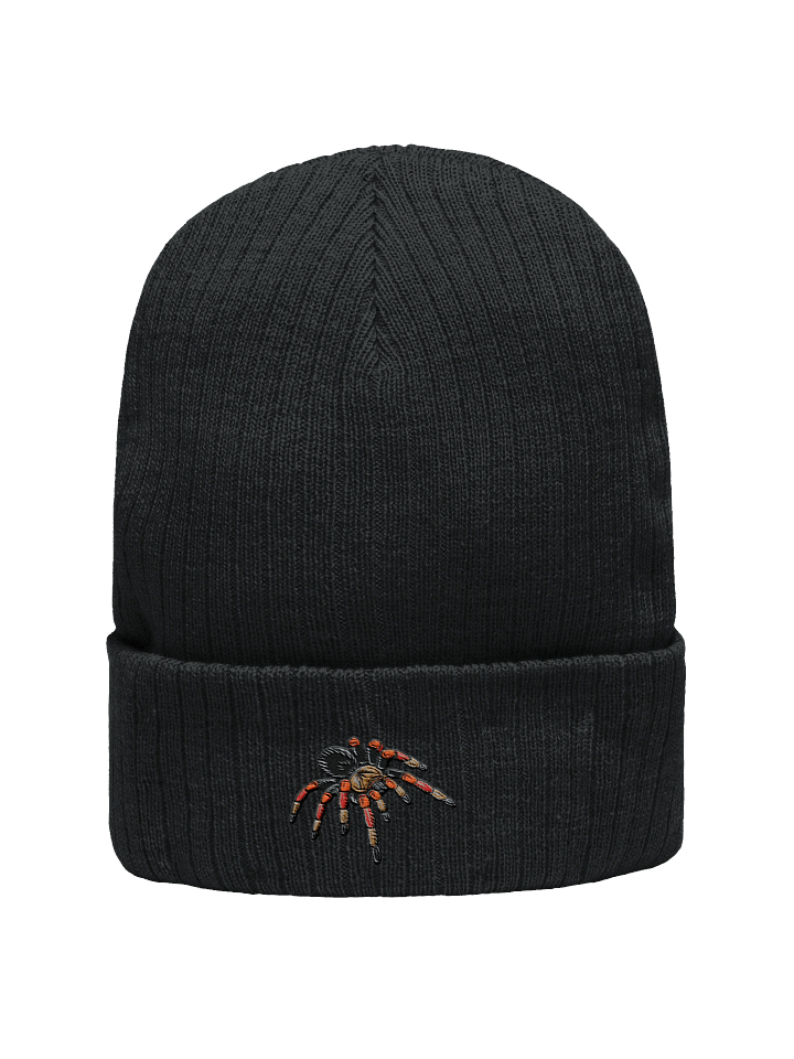 Mexican Fireleg Beanie product image (1)