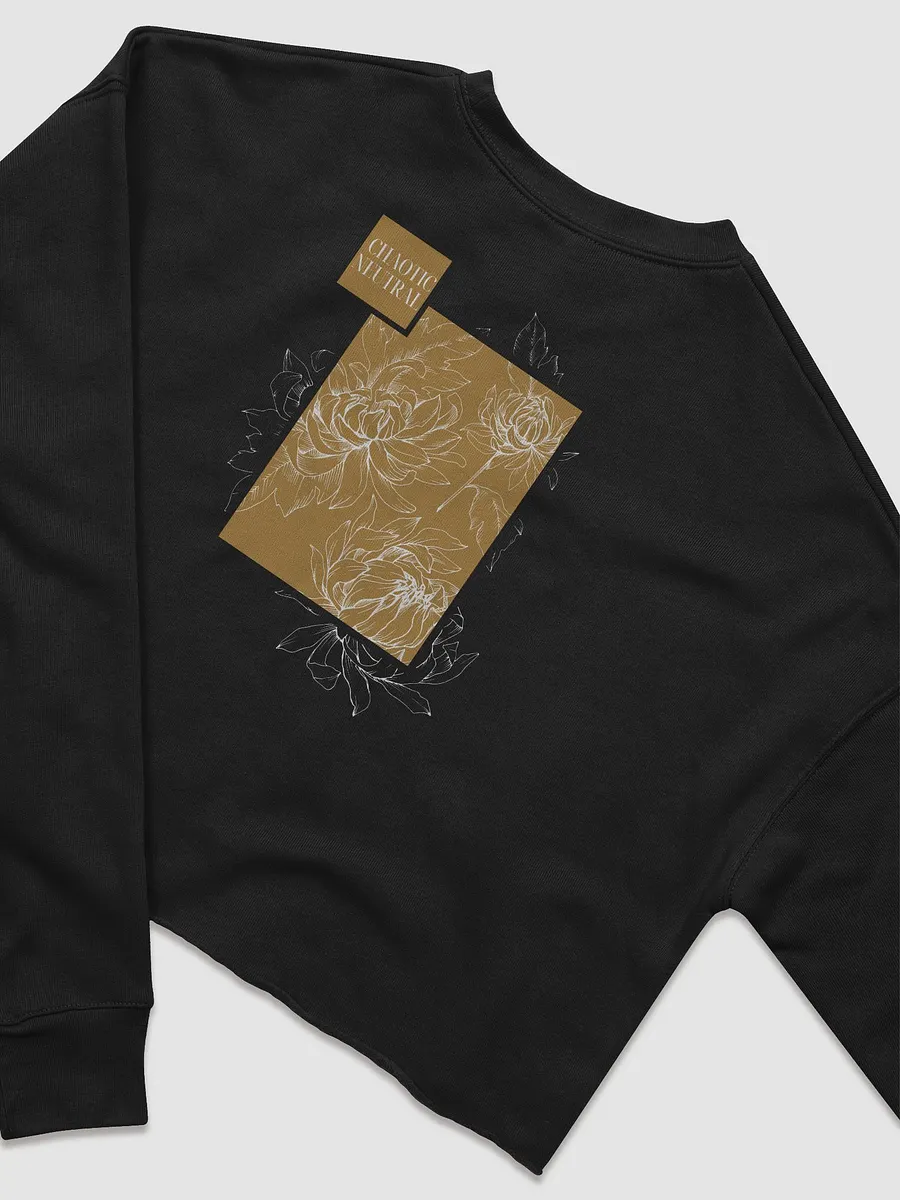 GOLD | Chaotic Neutral Sweatshirt {Colorblock} product image (1)