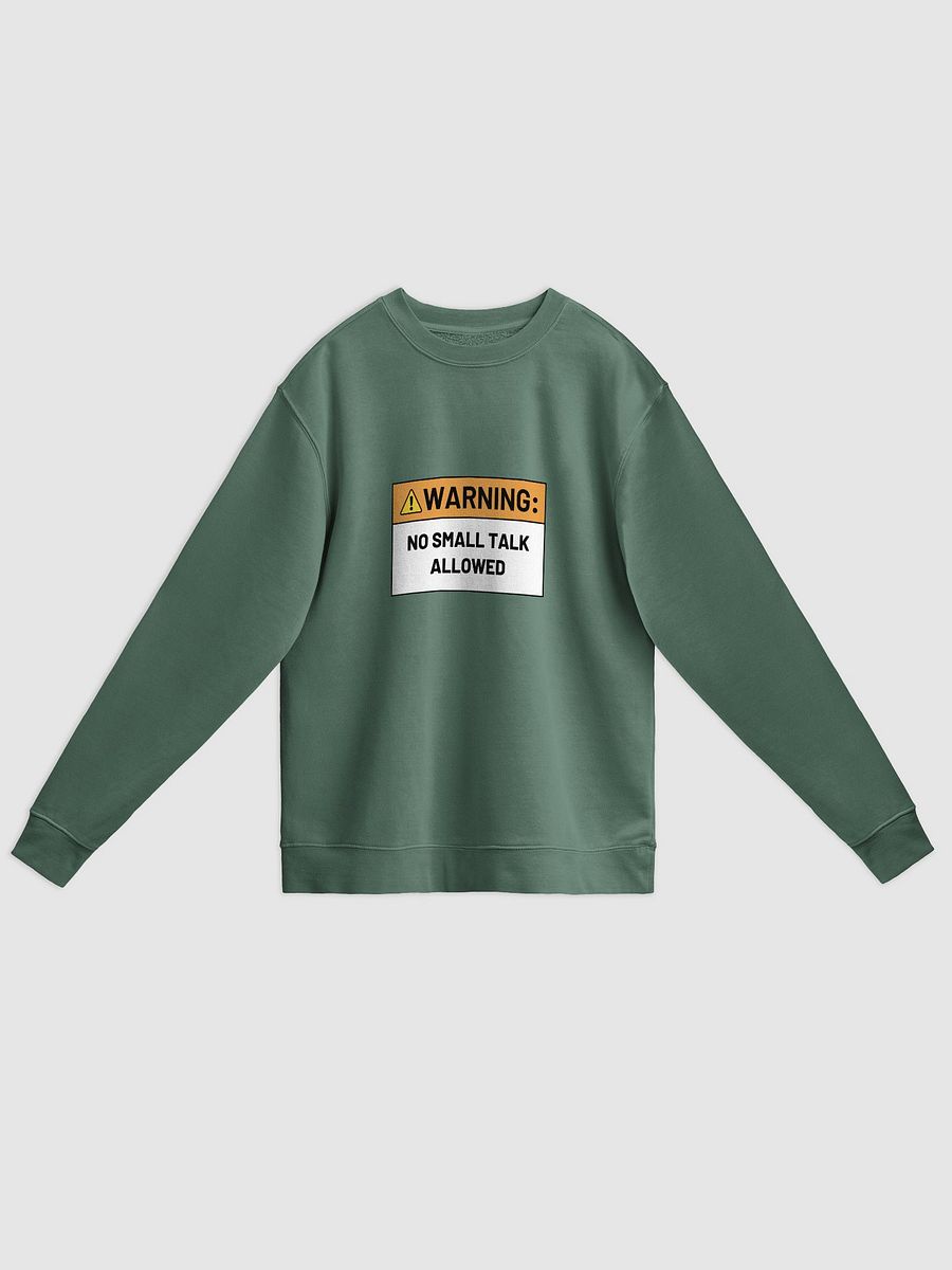 NO SMALL TALK ALLOWED printed pigment crewneck product image (7)
