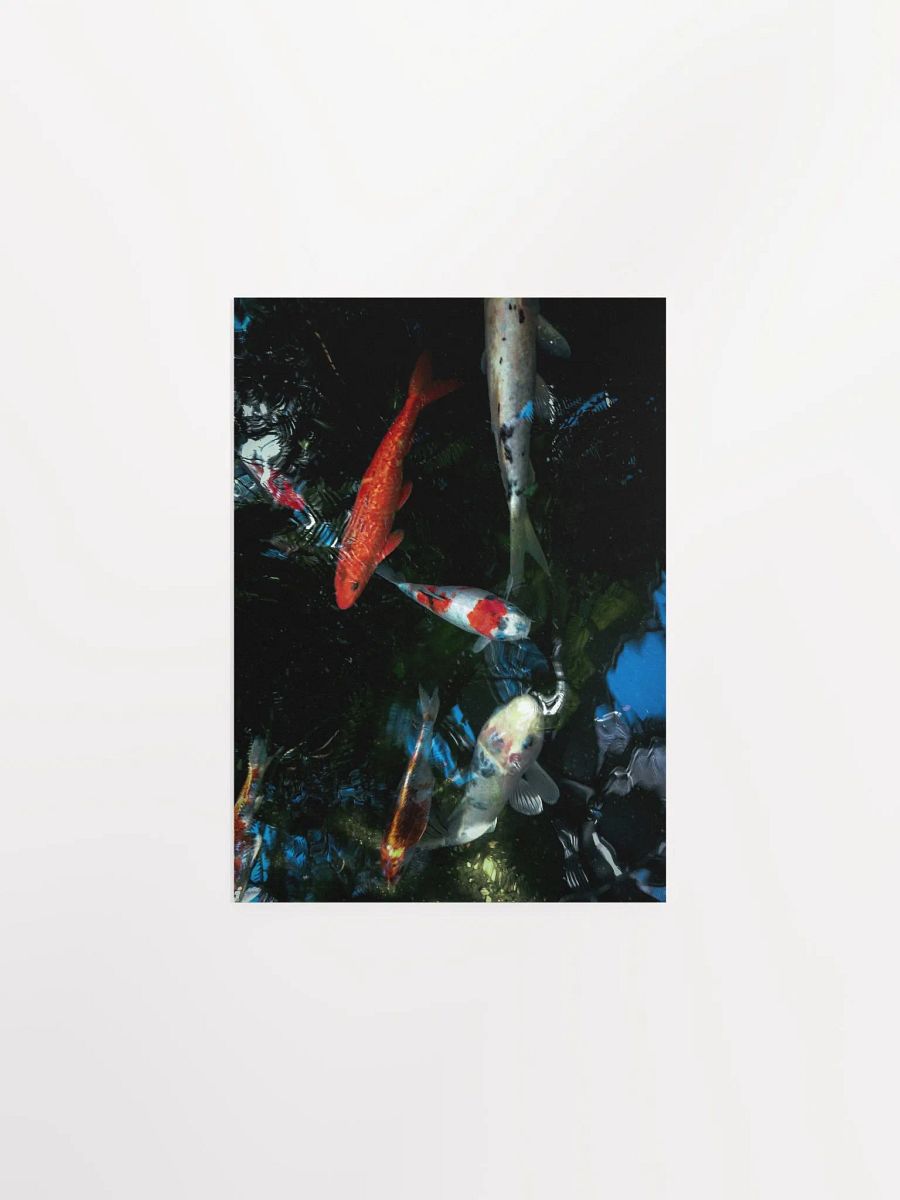 Koi Pond Serenity Poster product image (24)