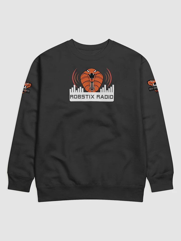 Robstix Radio Jumper product image (2)