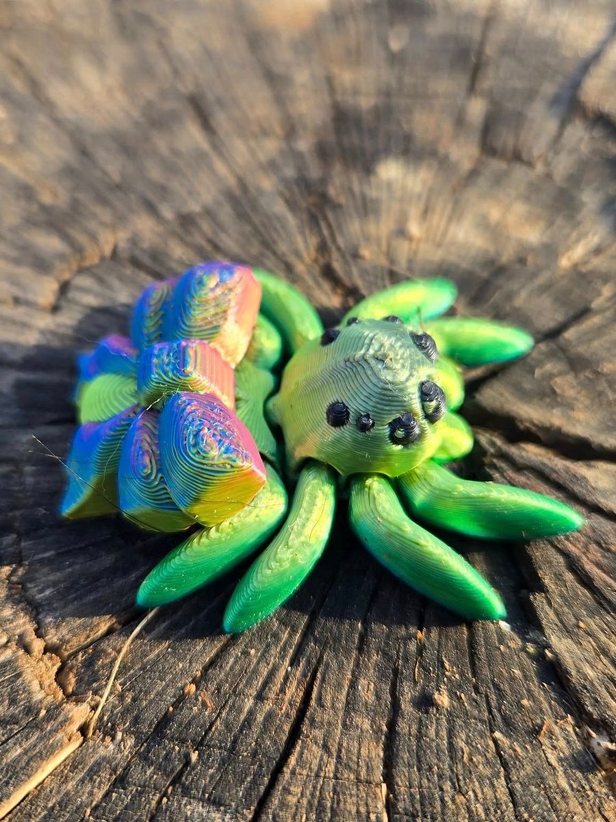 Adopt a Spider! product image (8)