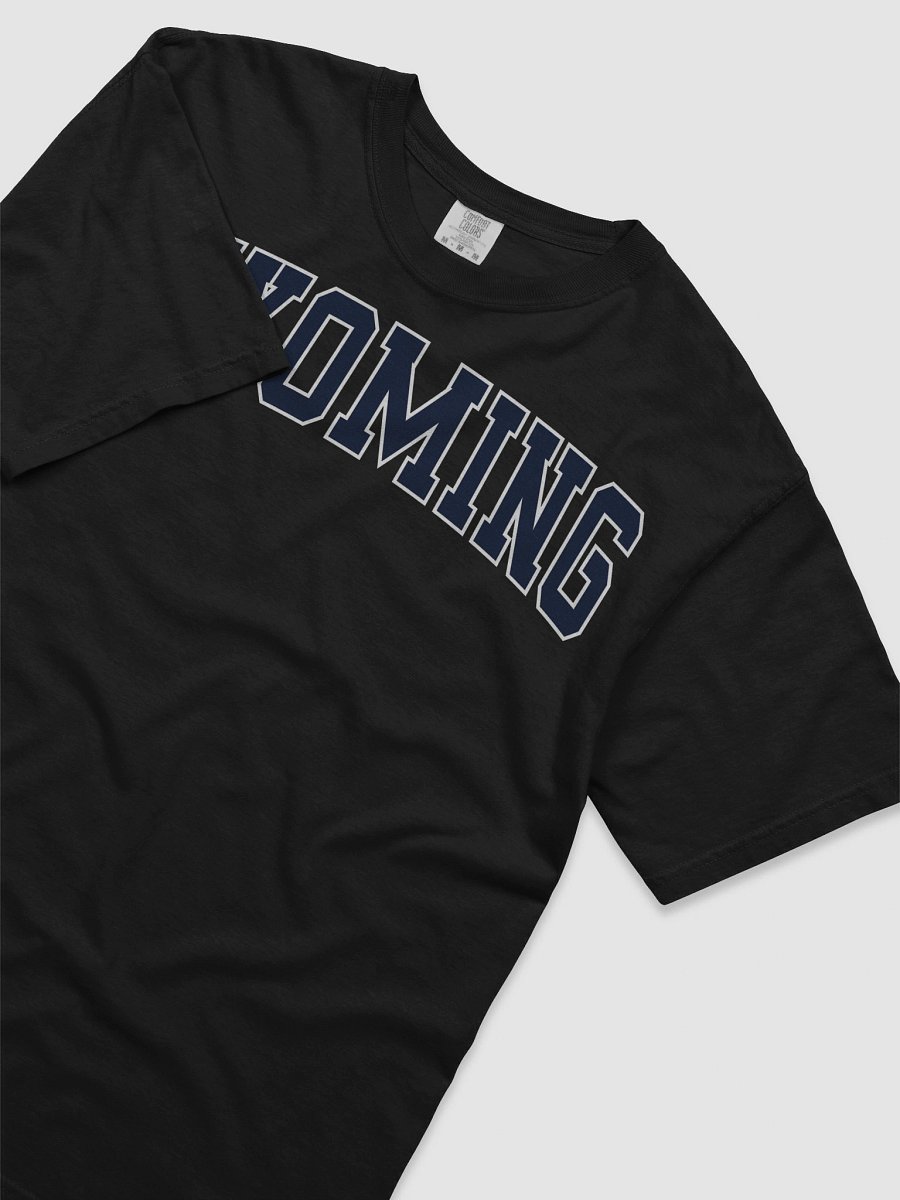 Wyoming Vintage Varsity Unisex Garment-Dyed T-shirt product image (26)