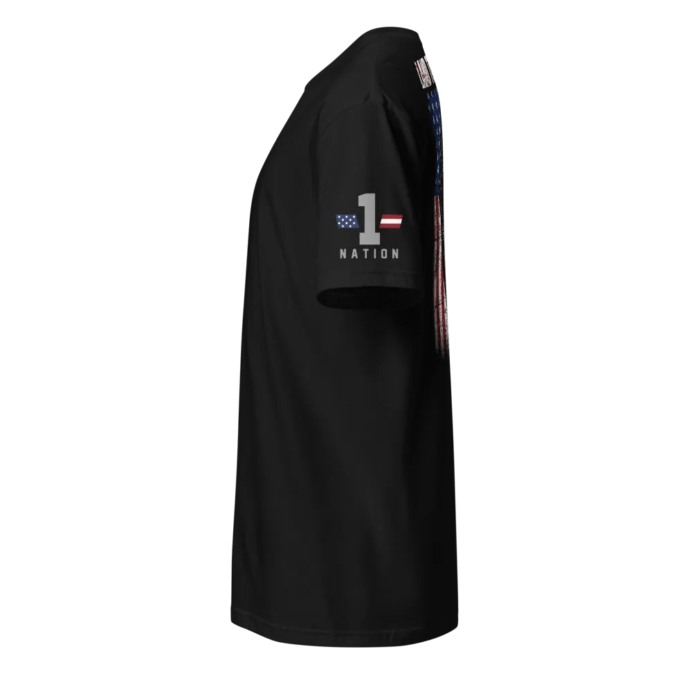 Land That I Love product image (2)