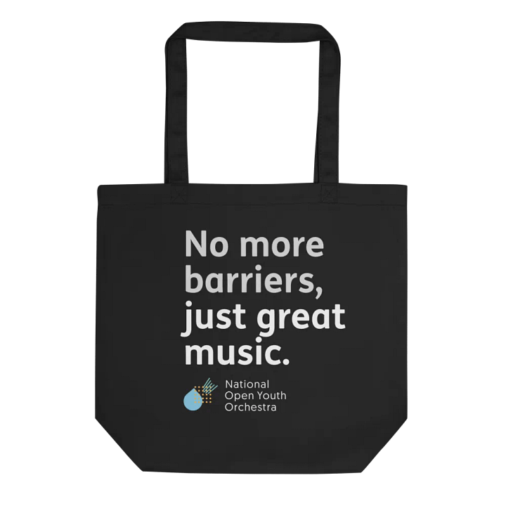 No More Barriers Bag product image (2)
