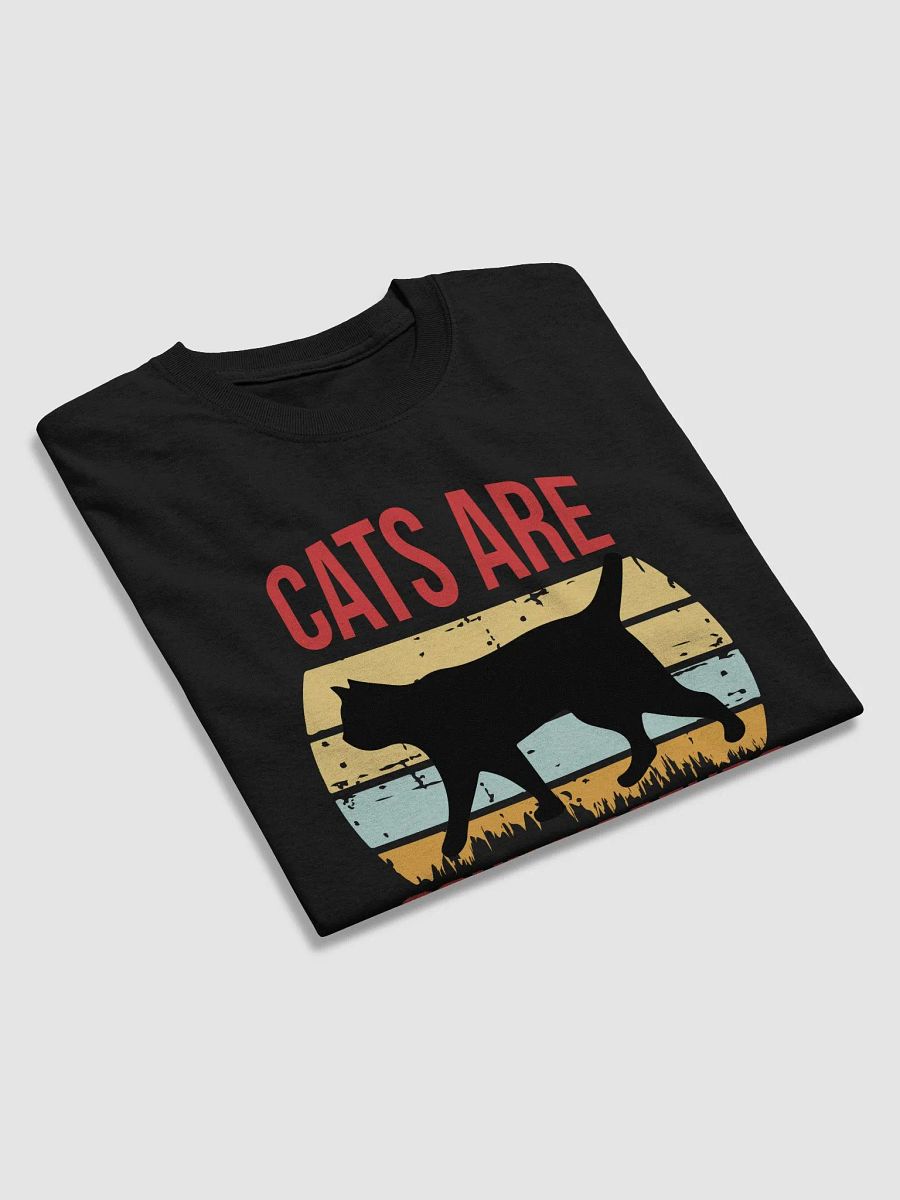 Cats are connoisseurs of comfort product image (44)