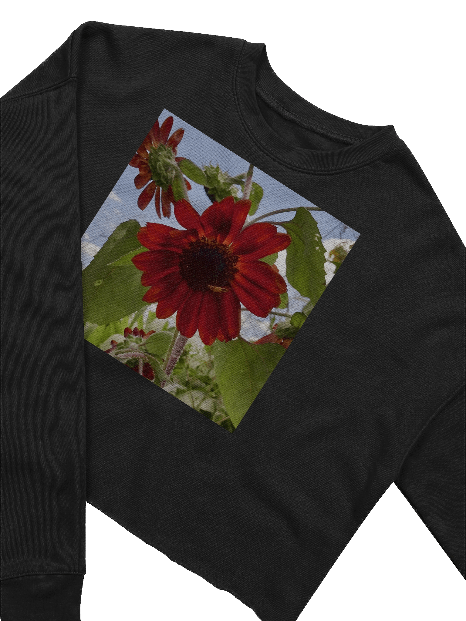 w product image (5)