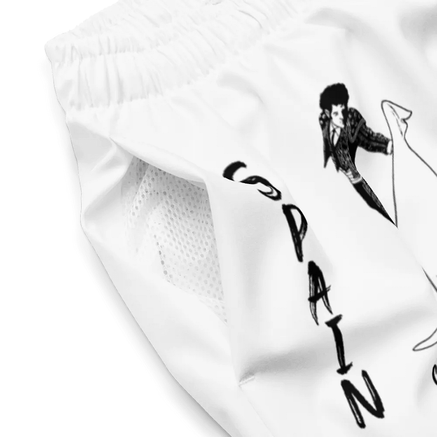 SPAIN Corrida de Toros (Bull Fighting) product image (10)