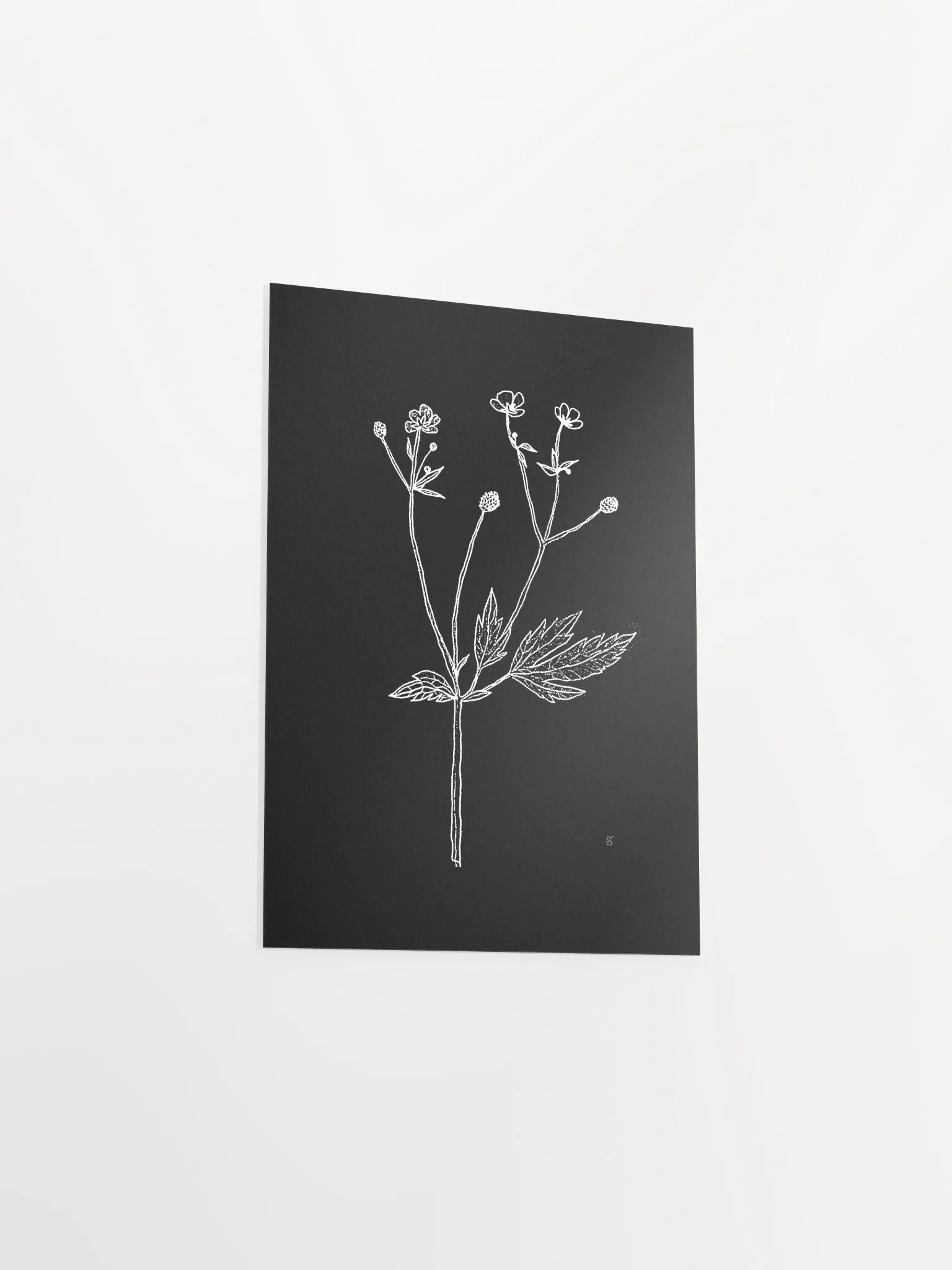 Botanical Bliss Matte Poster - Wild Flowers Dark Stylish product image (3)