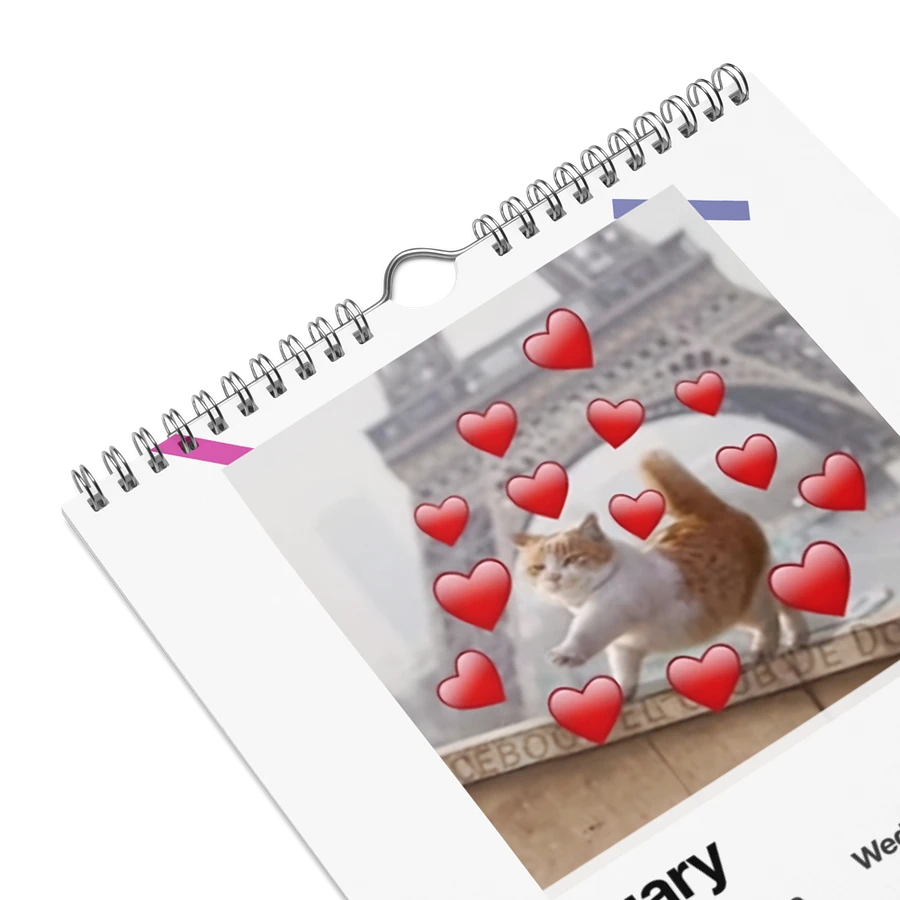 Wall Calendar (2024): Meme Cats product image (9)