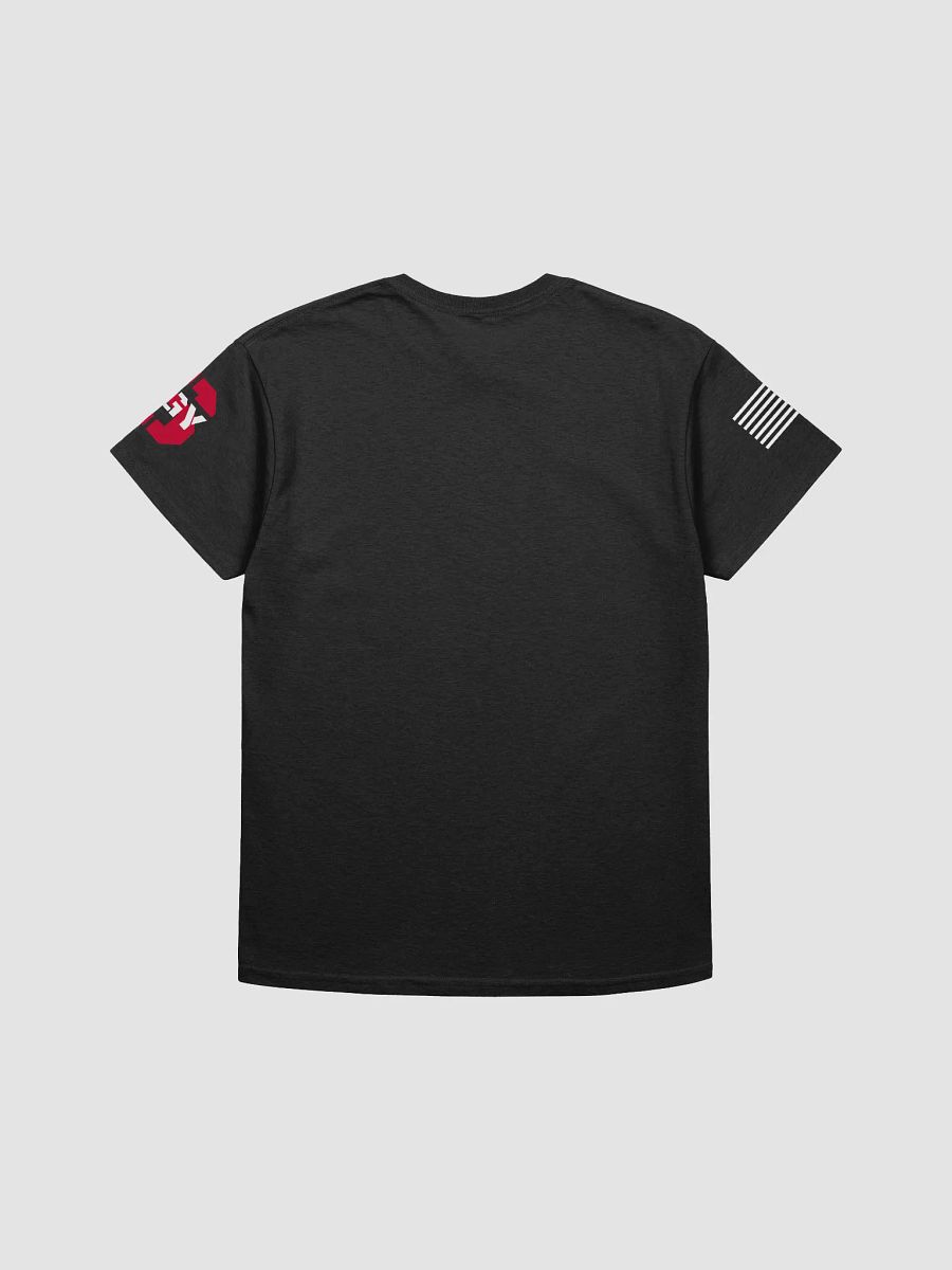 Official Asylum Shirt product image (2)
