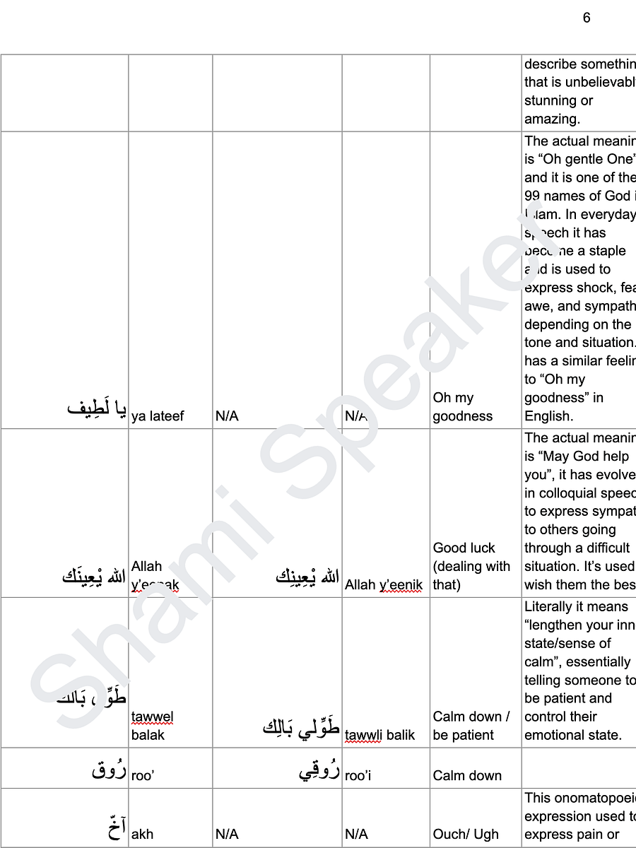 Everyday Expressions in Levantine Arabic You NEED to Know product image (3)