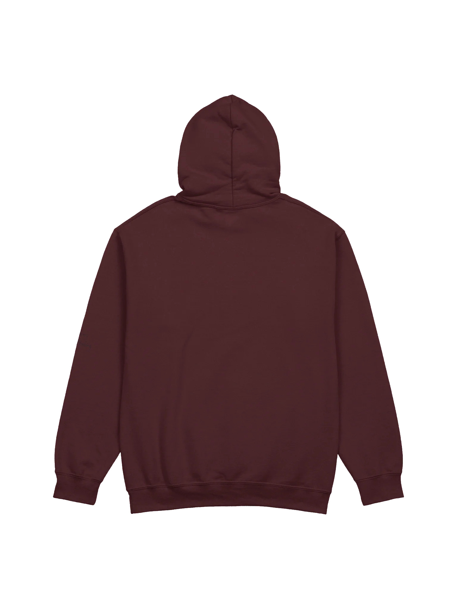 REIDOS Sonic Healing Script Hoodie product image (11)