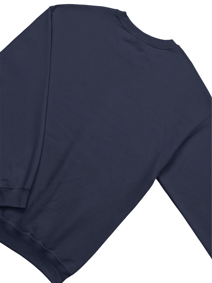 Vaccy 2.0 Sweatshirt product image (20)
