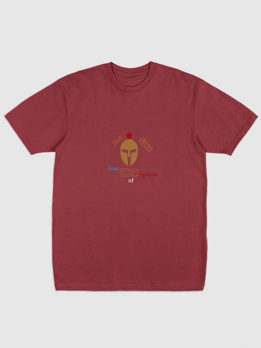 Spartan Geometric Helmet Men's Tee product image (1)