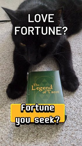When a cat tells you your fortune...
Don't say he didn't warn ya! 😂

#cats #fortune #tarot #funny #comedy #blackcats #catsofi...