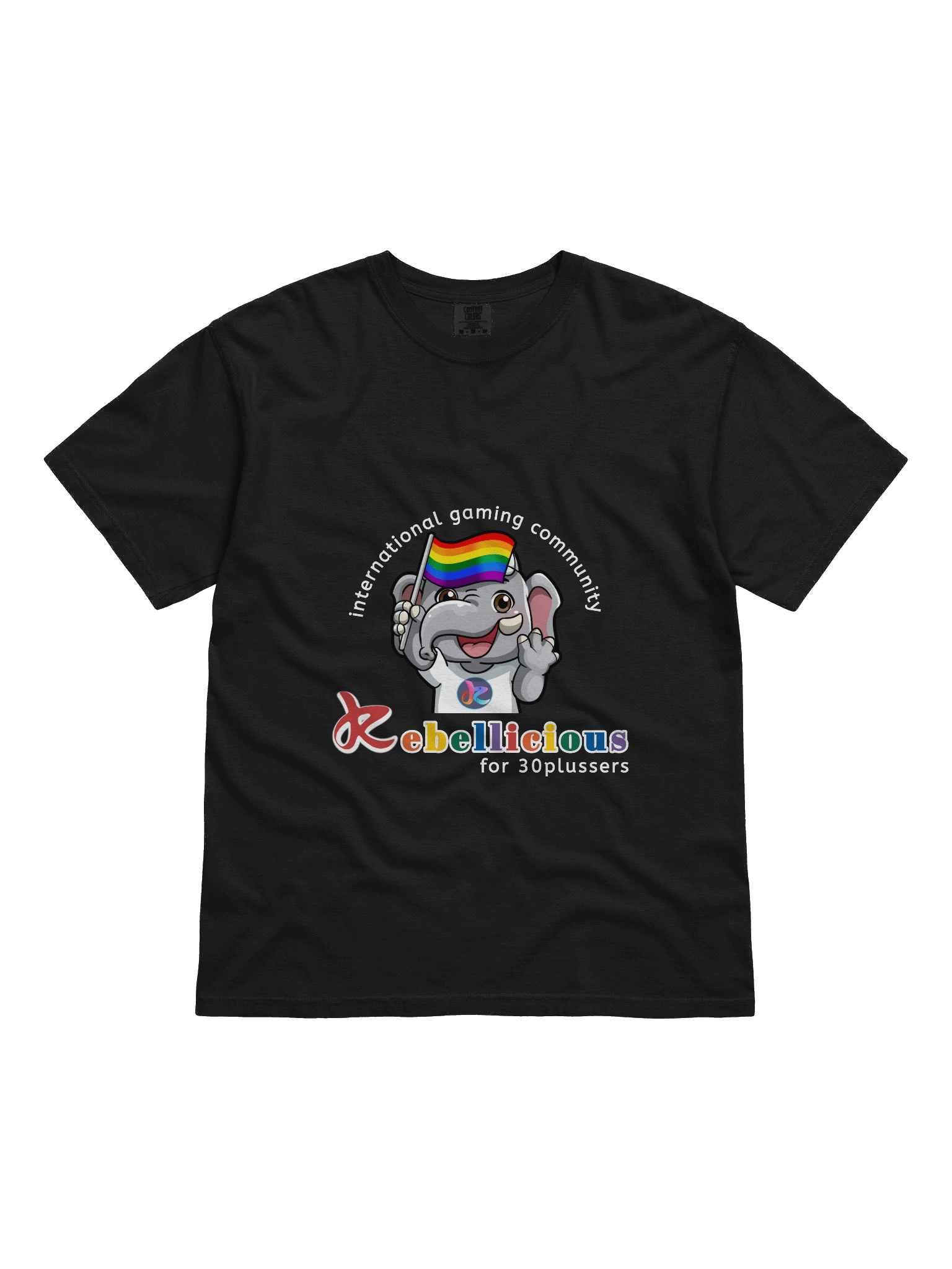 Comfort Colors Pride T-shirt product image (3)