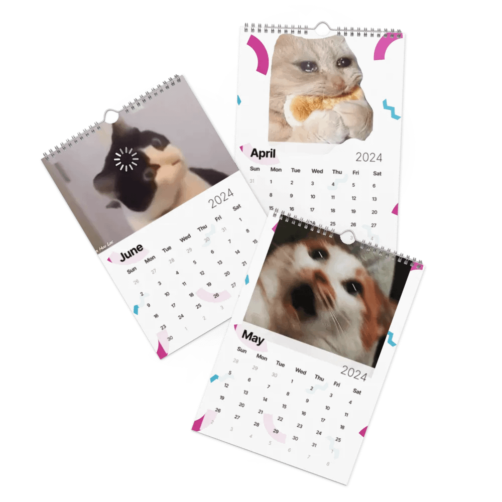 Wall Calendar (2024): Meme Cats product image (3)